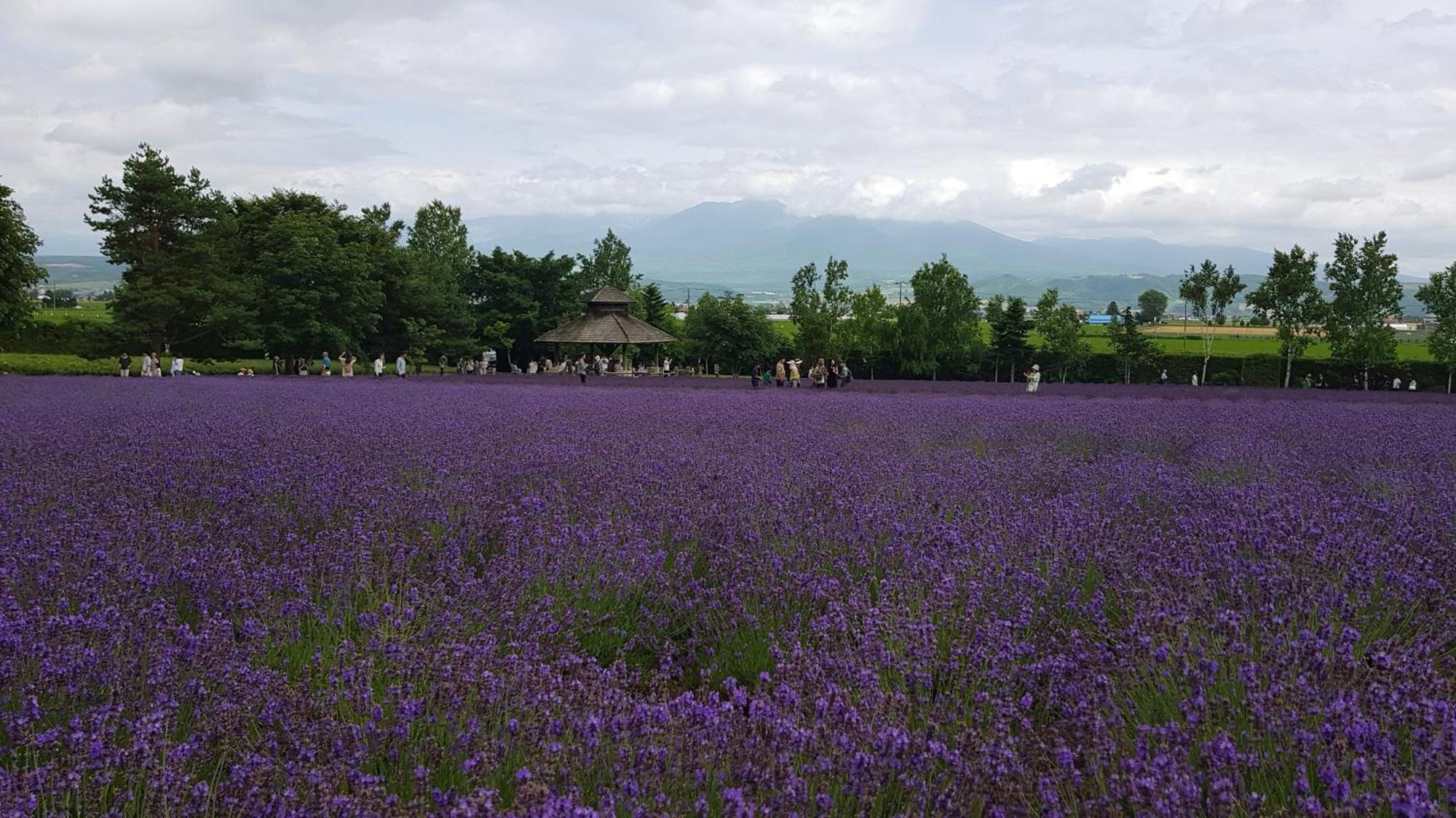 Furano B&B Εξωτερικό φωτογραφία