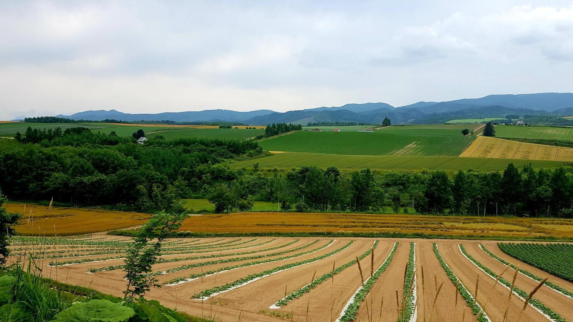 Furano B&B Εξωτερικό φωτογραφία